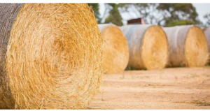 SilageWrap baling twine