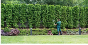 Guaranteed Garden Services garden maintenance