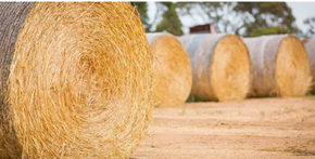 baler twine